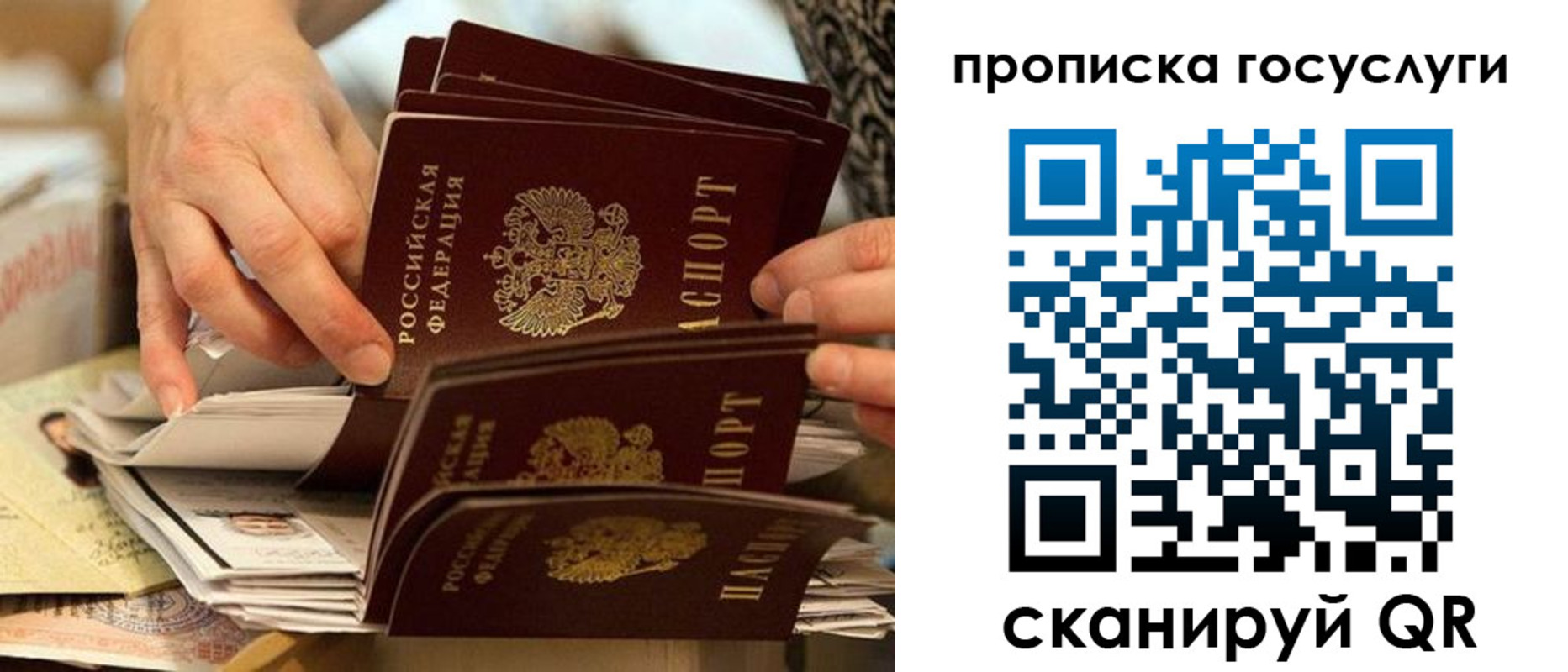 пропишу в квартире в Тверской области